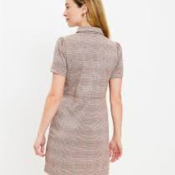 Loft  Brown Plaid Dress - Picture 2 of 10